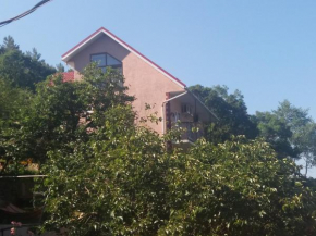 Guest House PARADISE